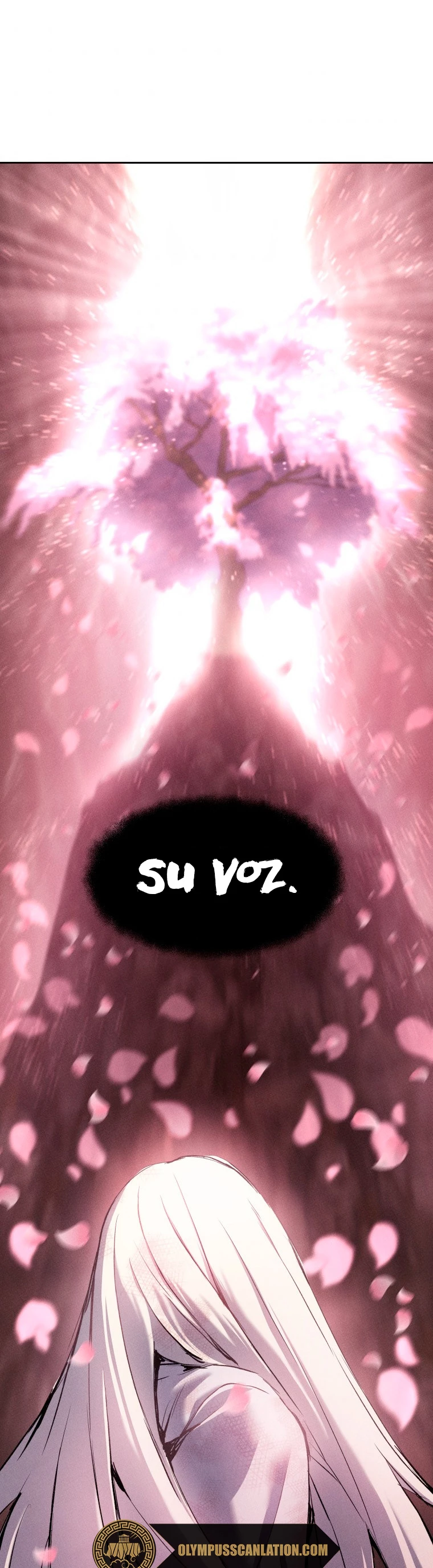 Página 41
