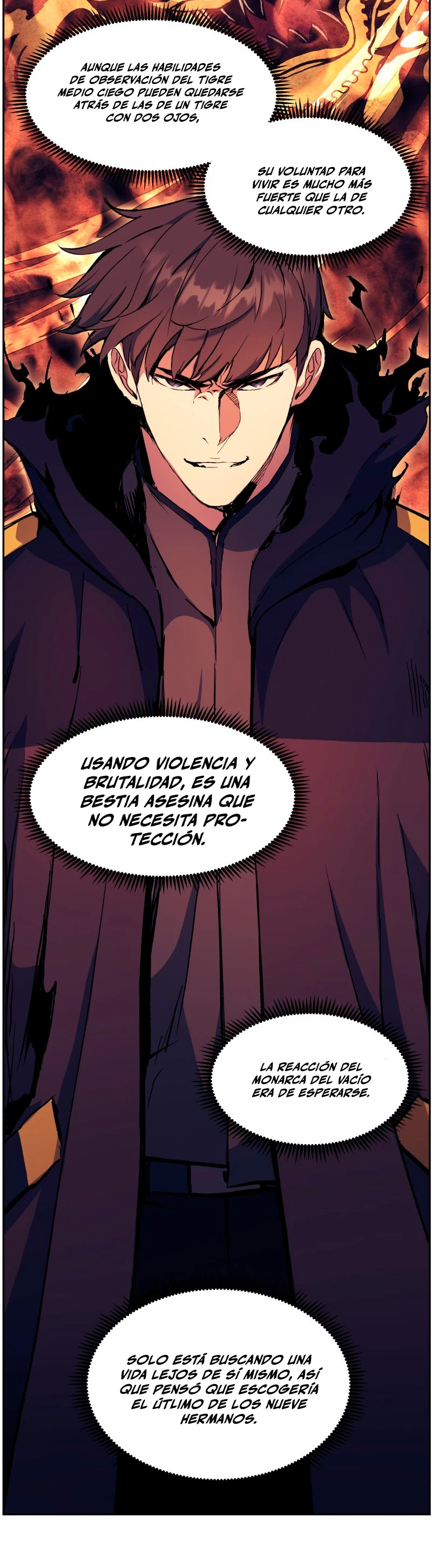Página 31