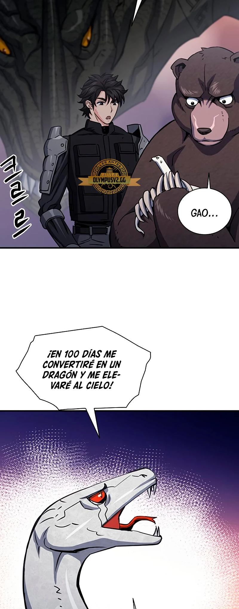 Página 19