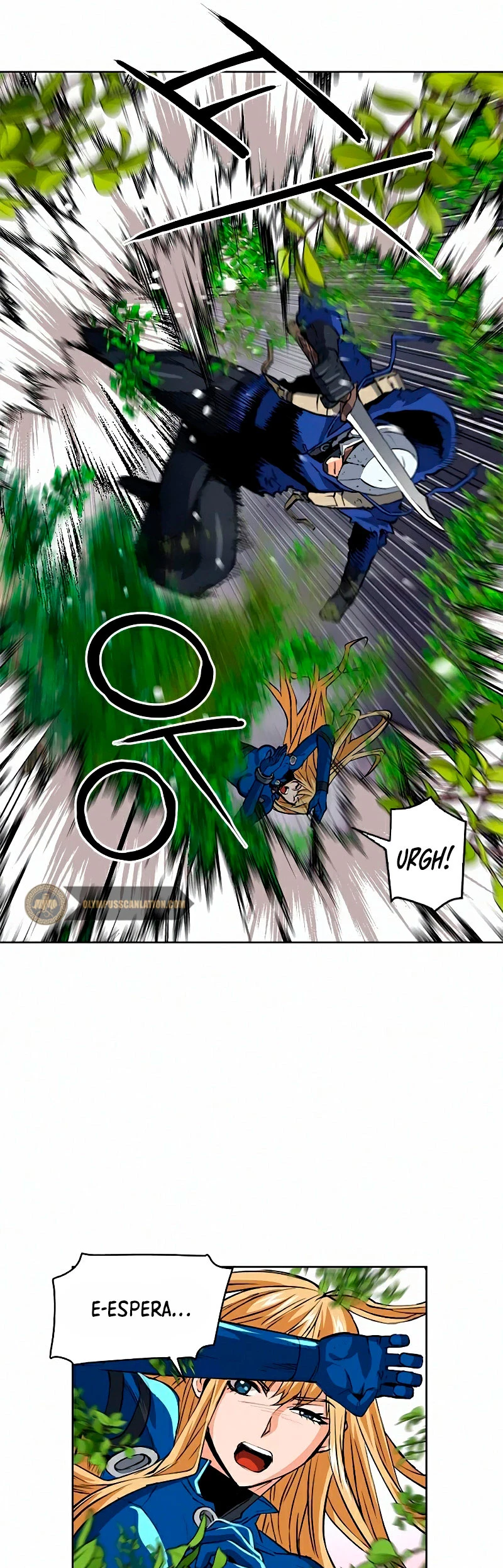 Página 43