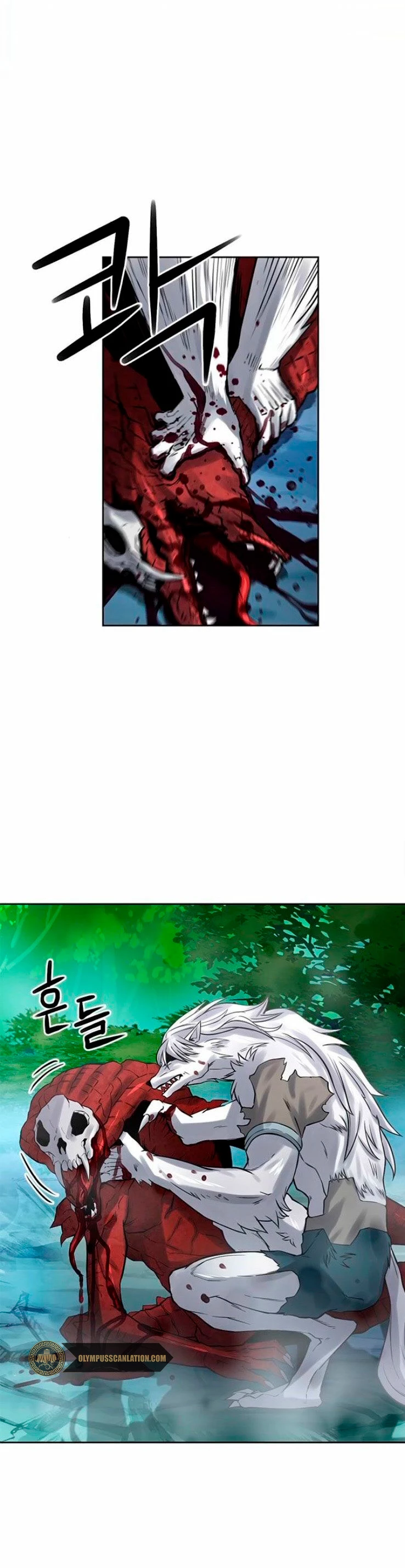 Página 41