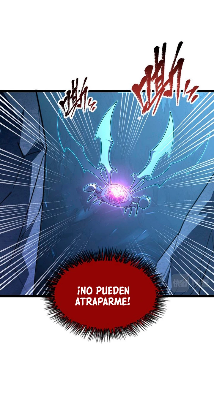 Página 17