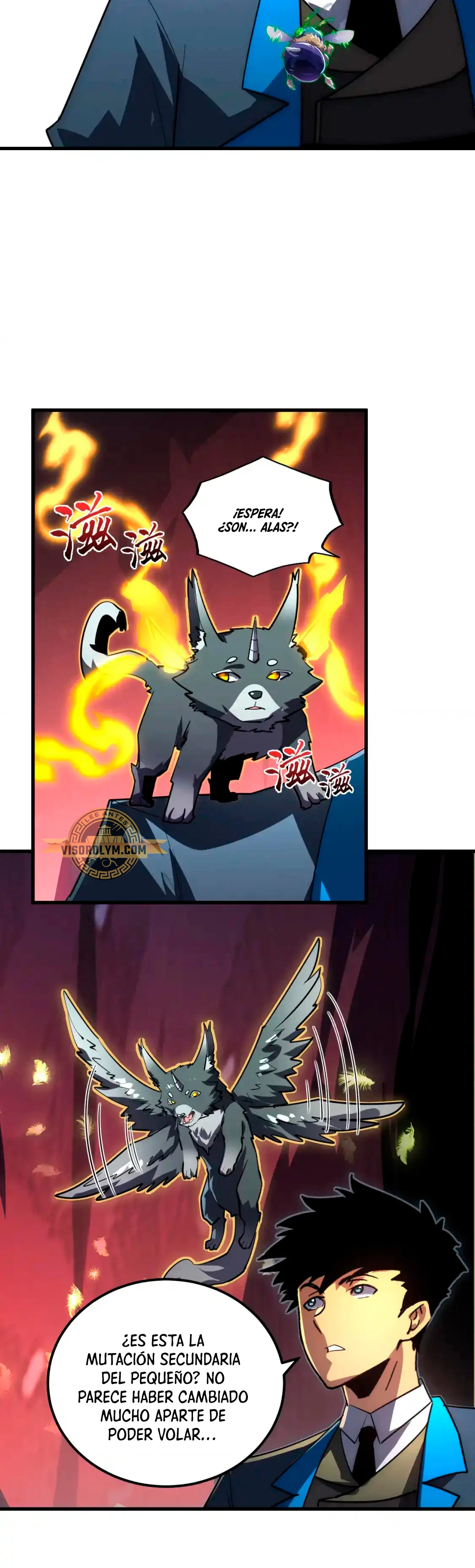 Página 11
