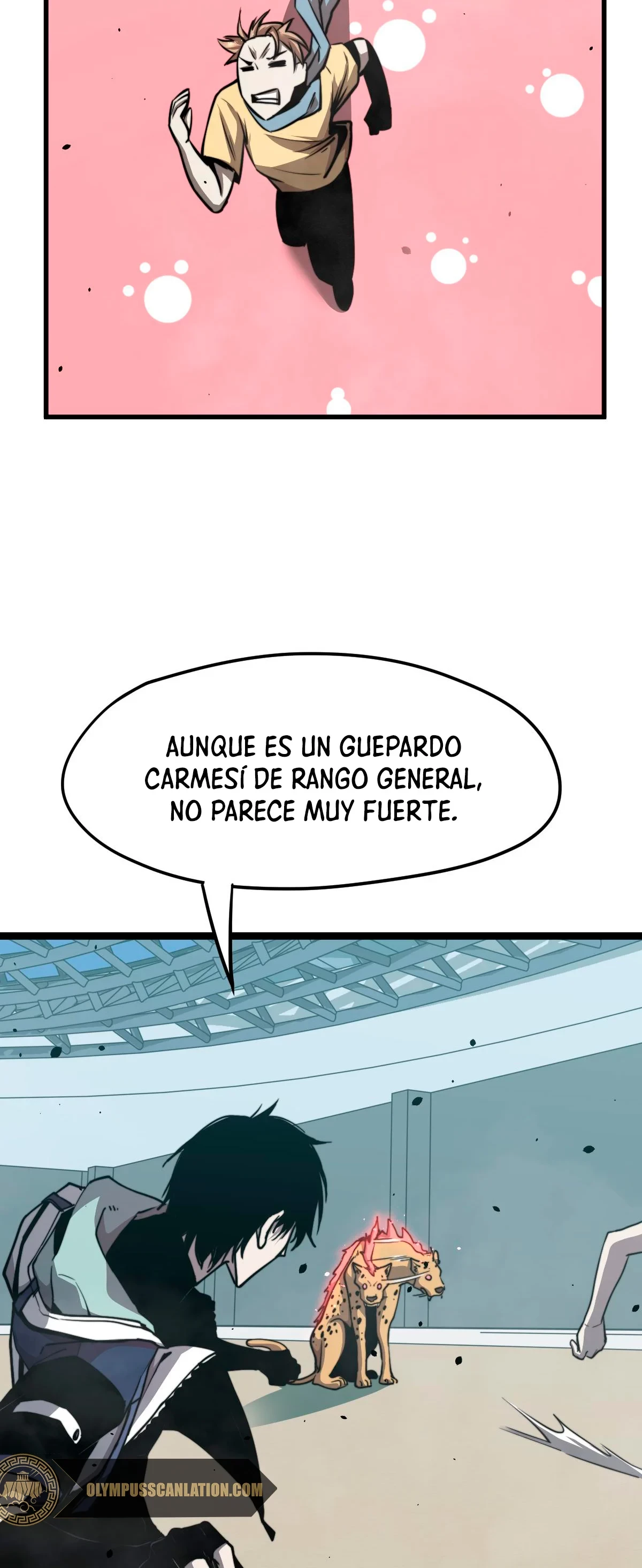 Página 21
