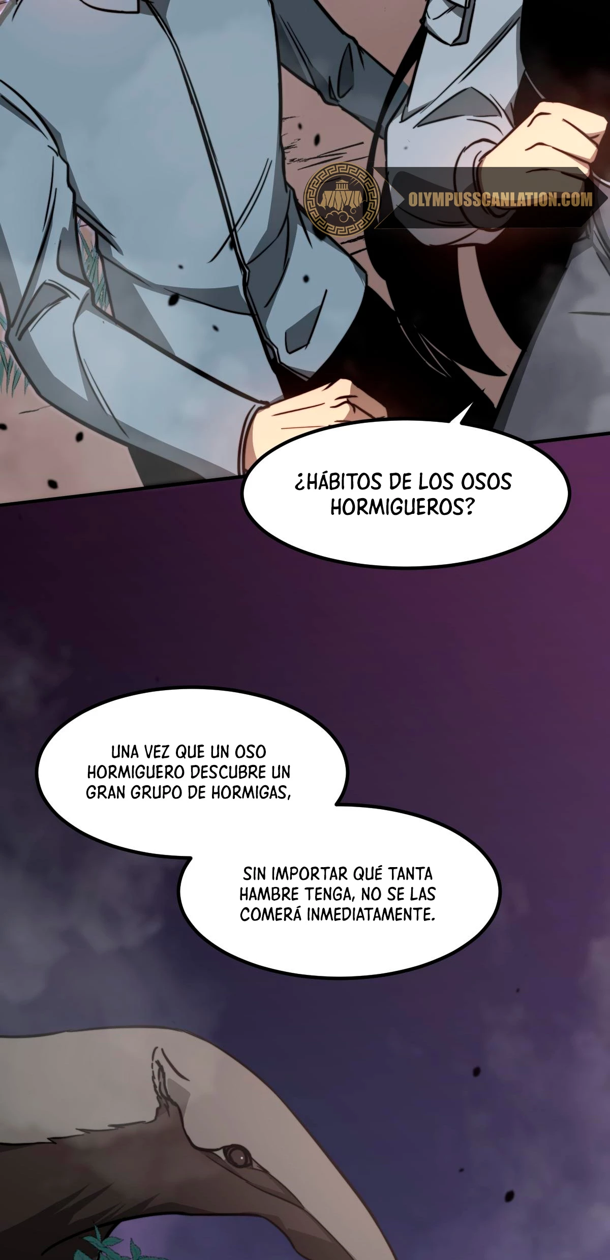 Página 61