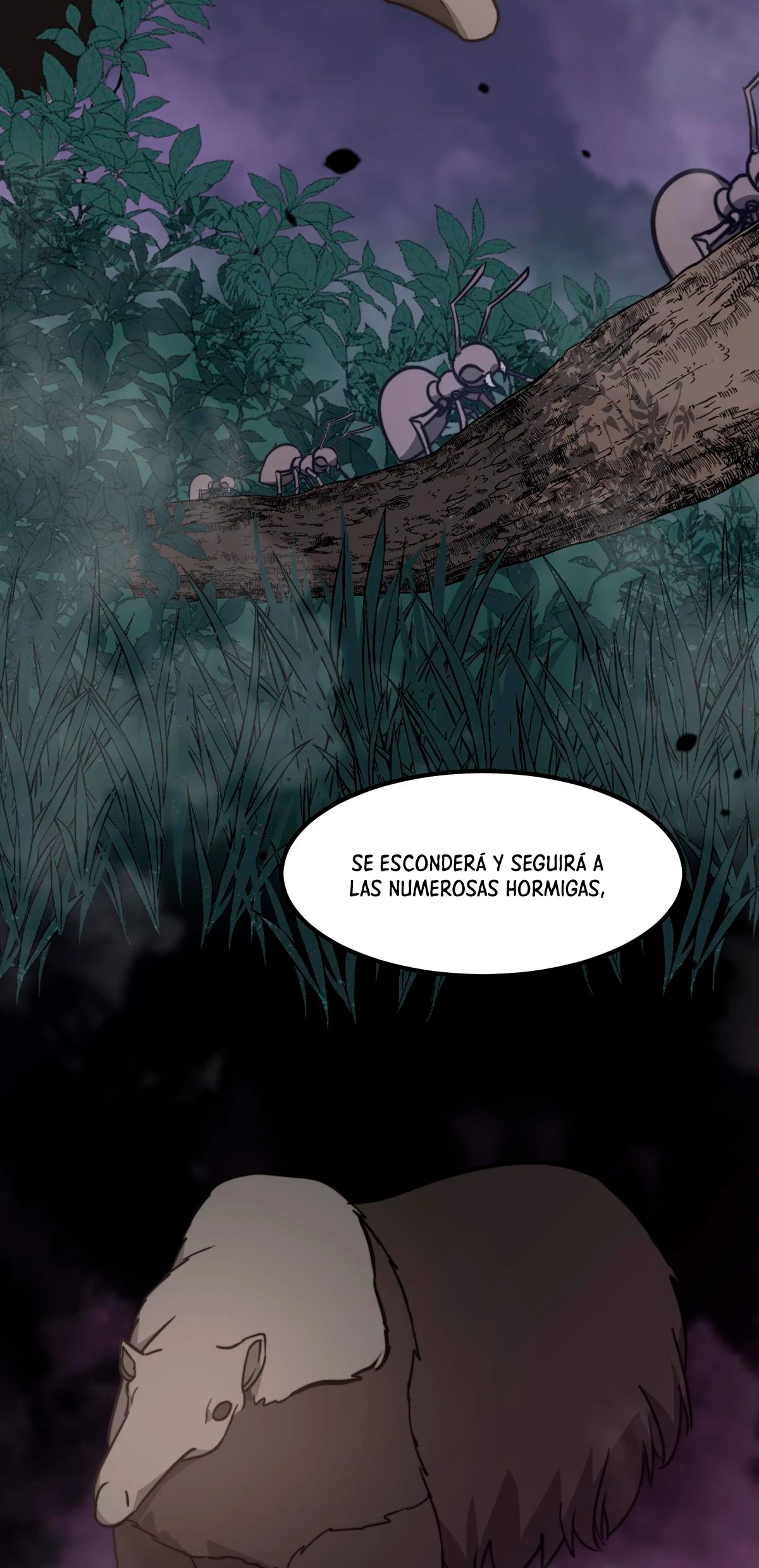 Página 62