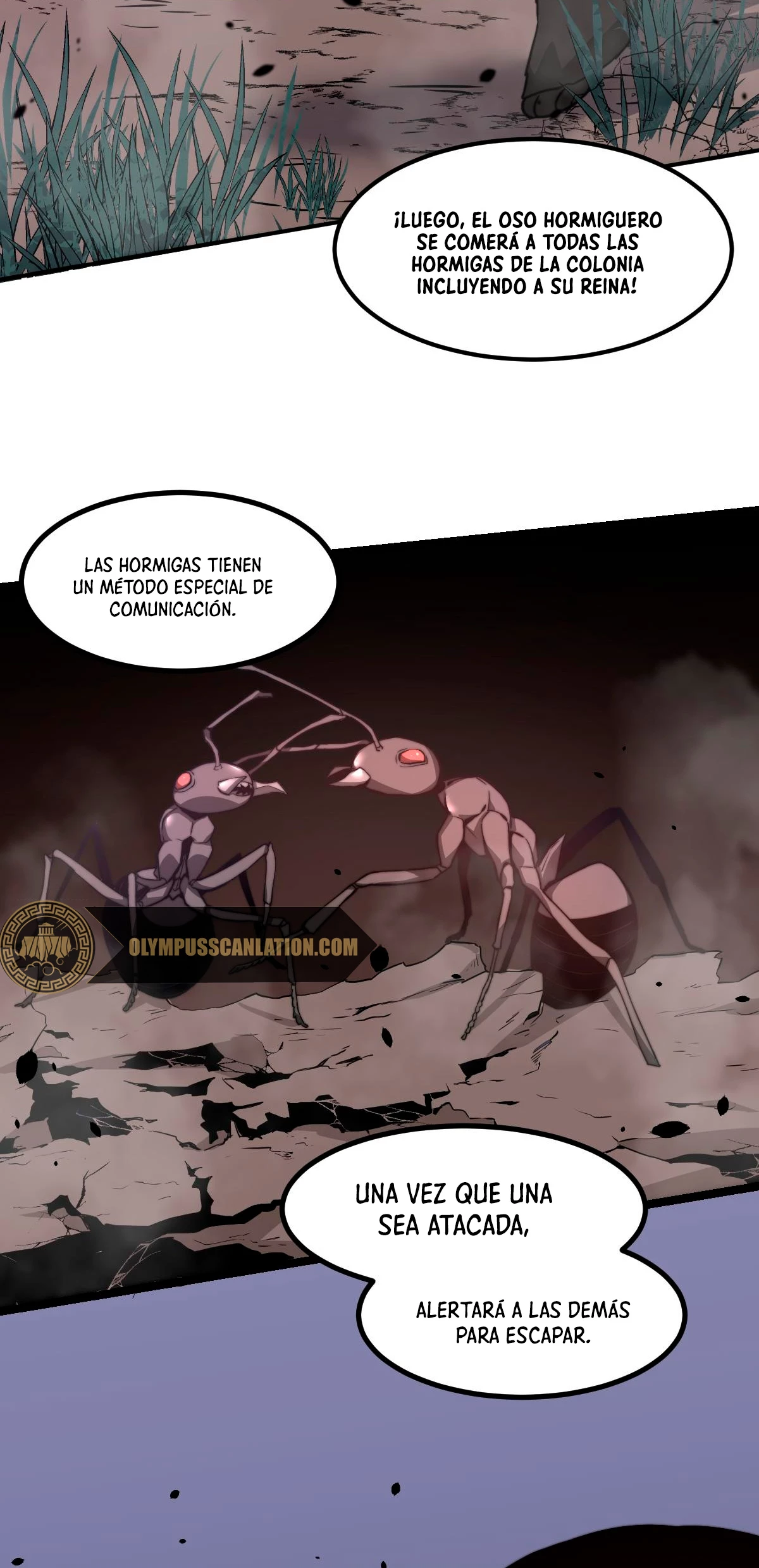 Página 64