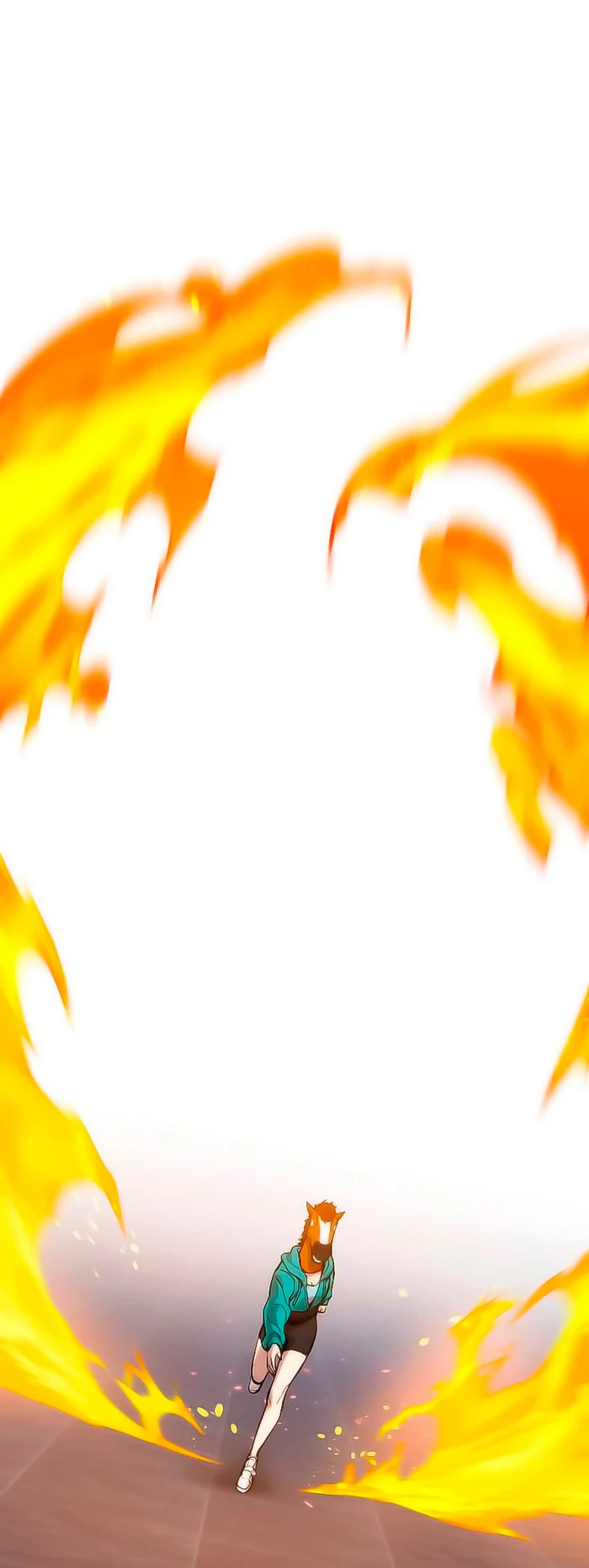 Página 43