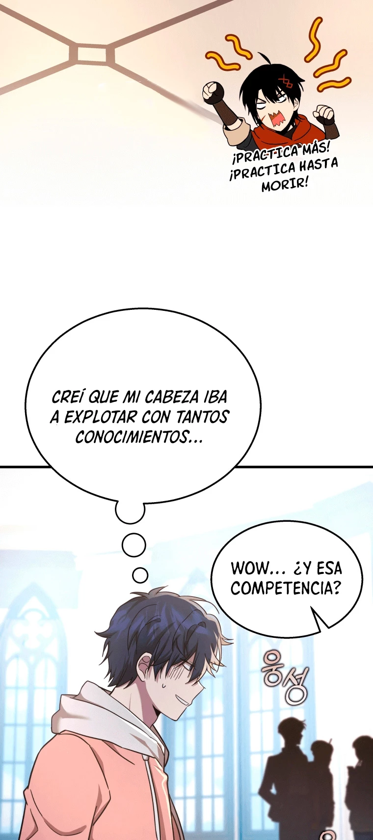 Página 13