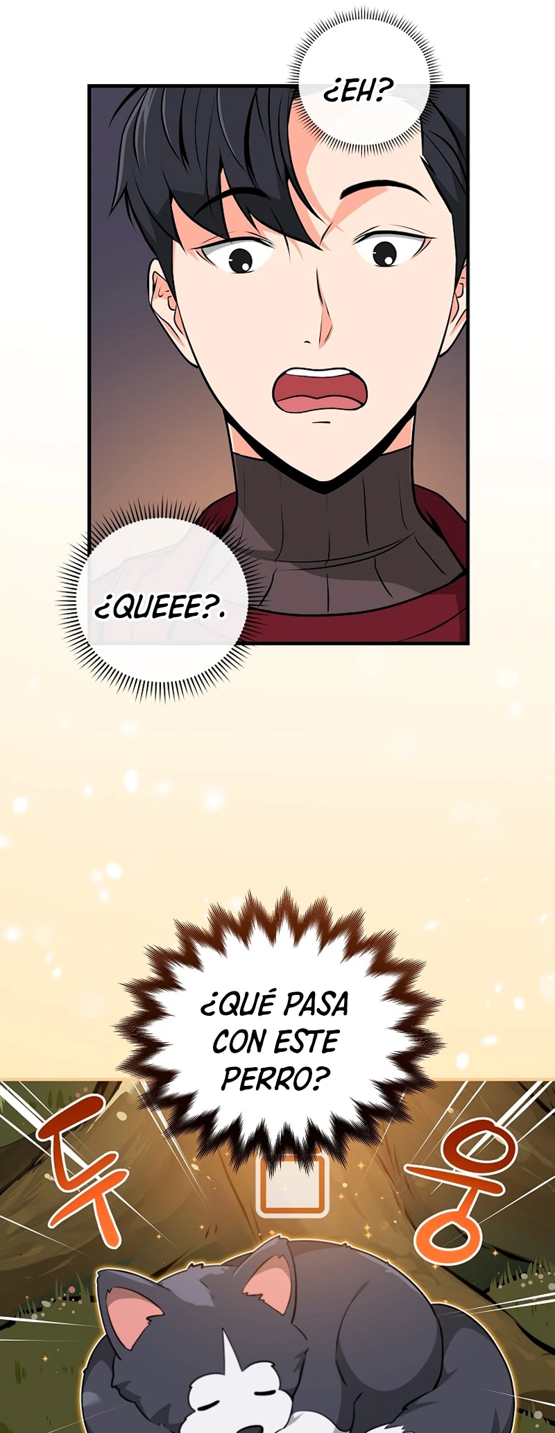 Página 49