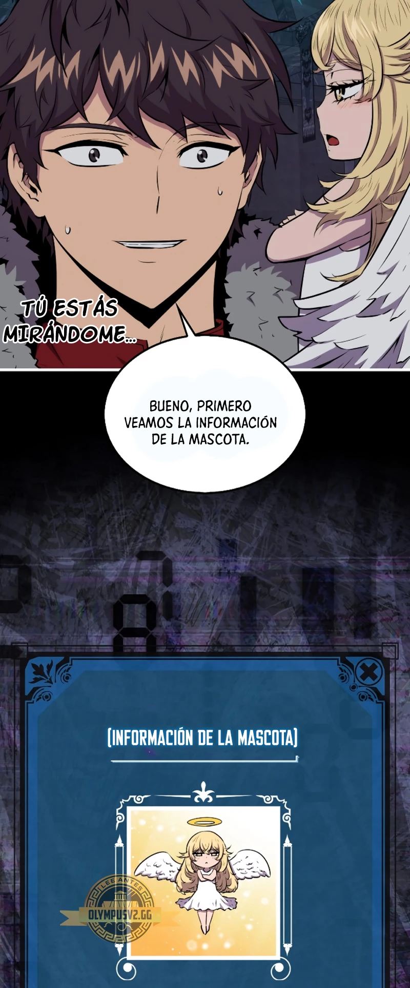 Página 46