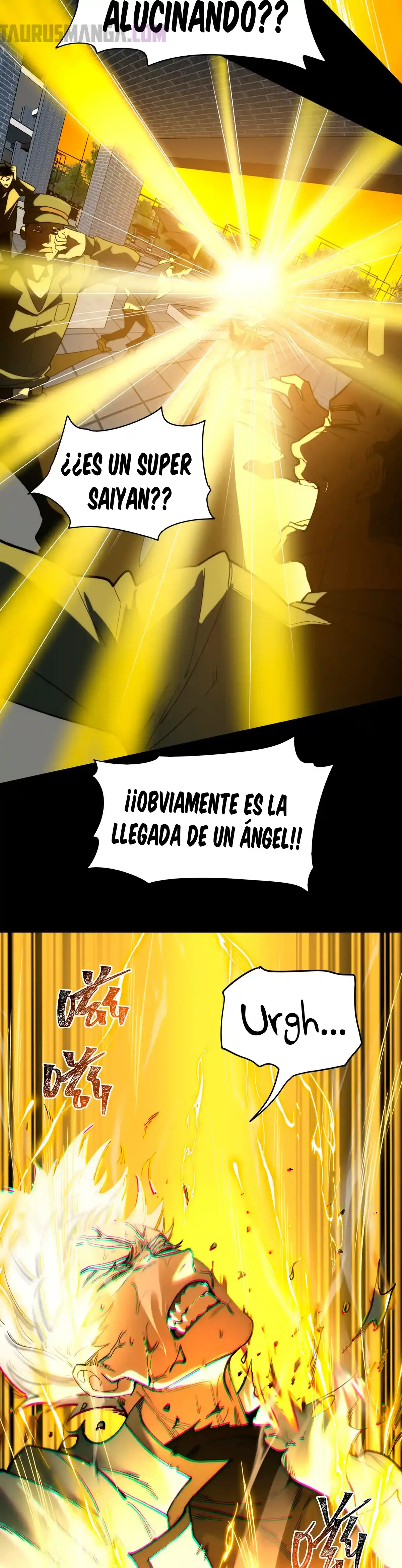 Página 31