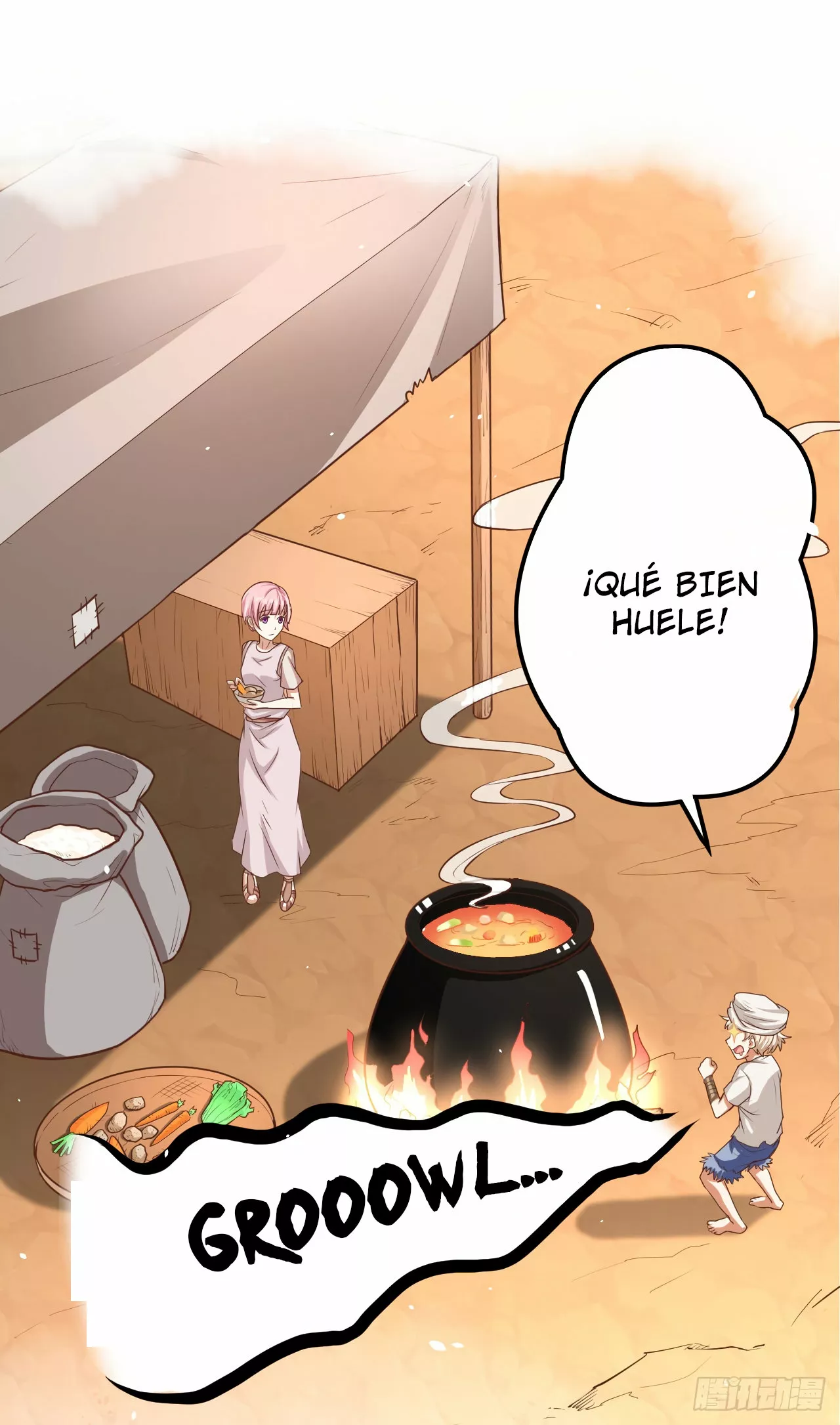 Página 13