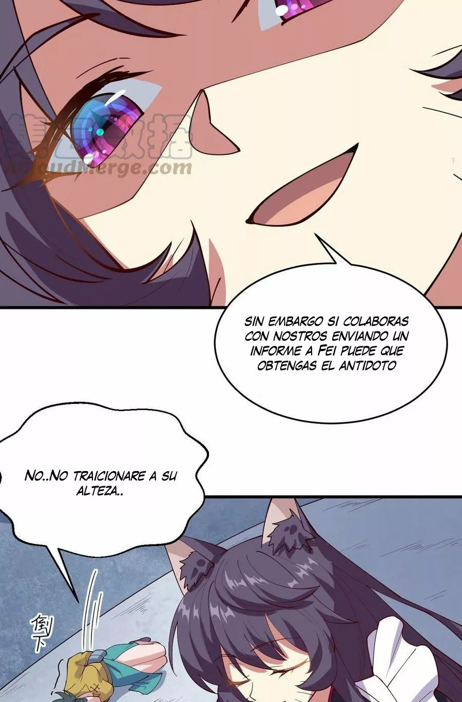 Página 8