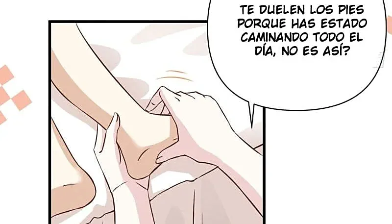 Página 43