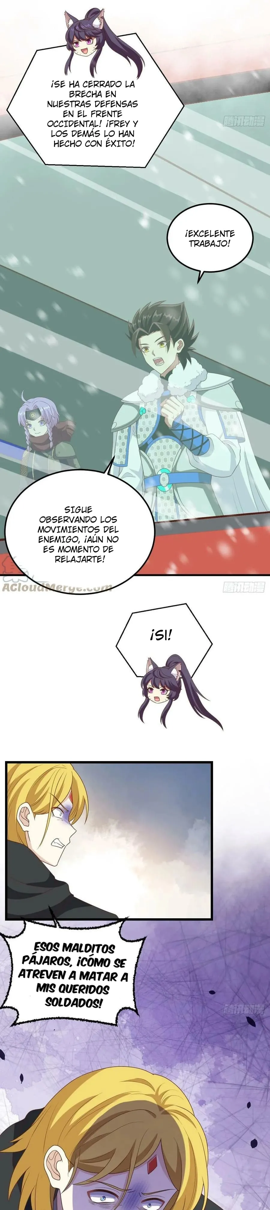 Página 7