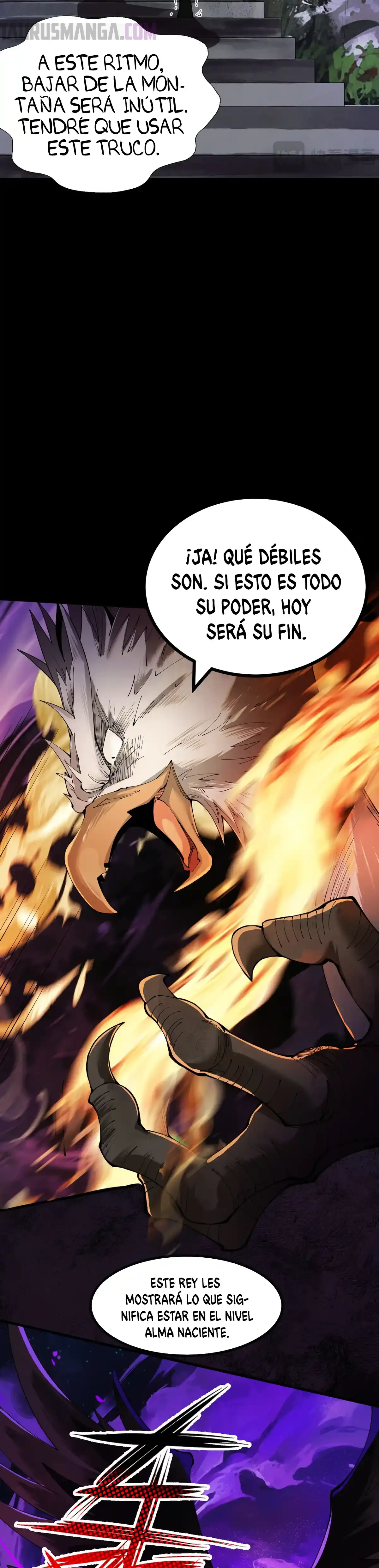Página 31