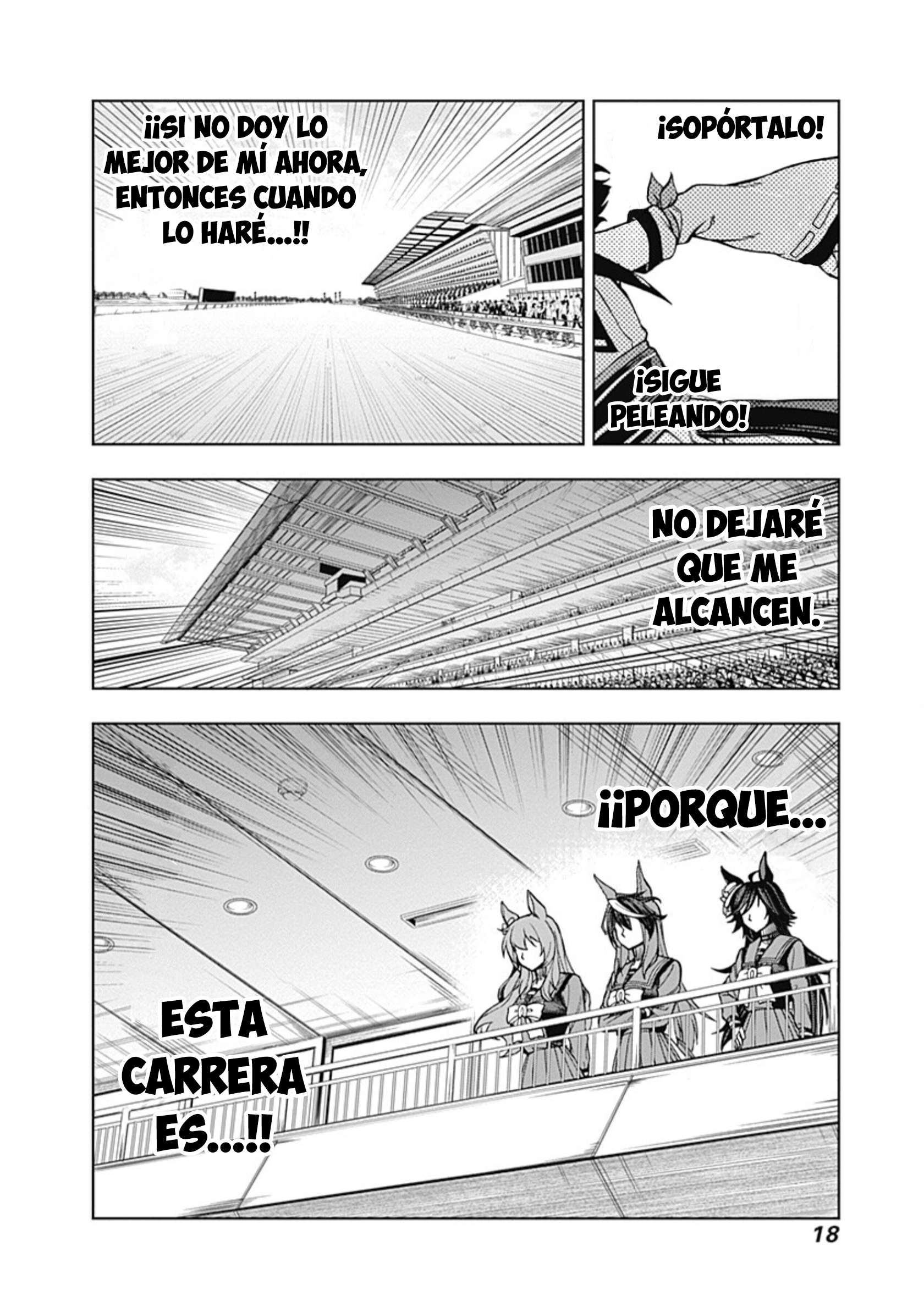 Página 17