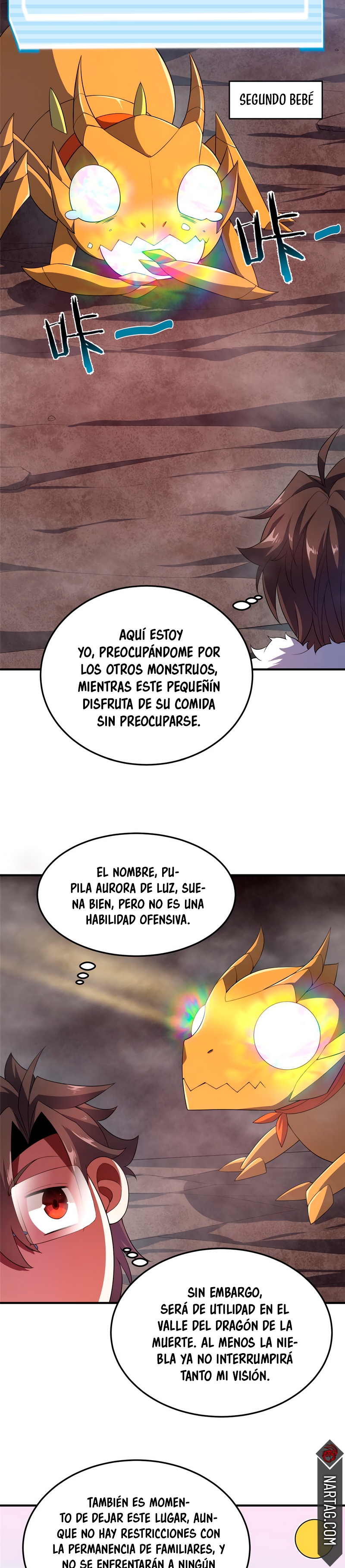 Página 5