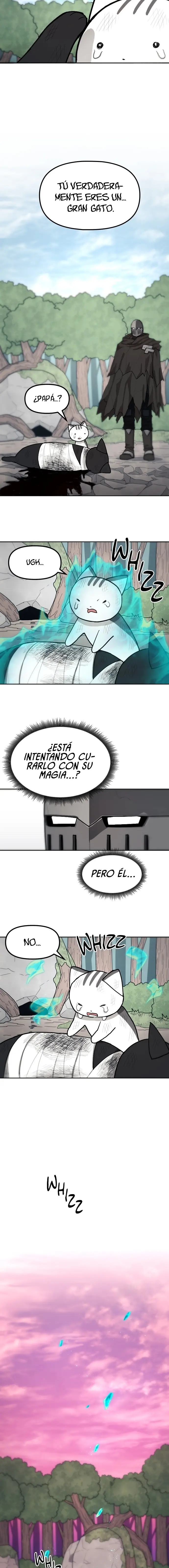 Página 41