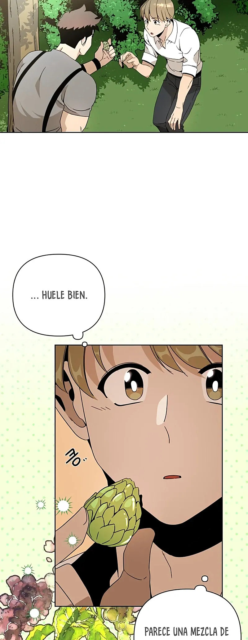 Página 31