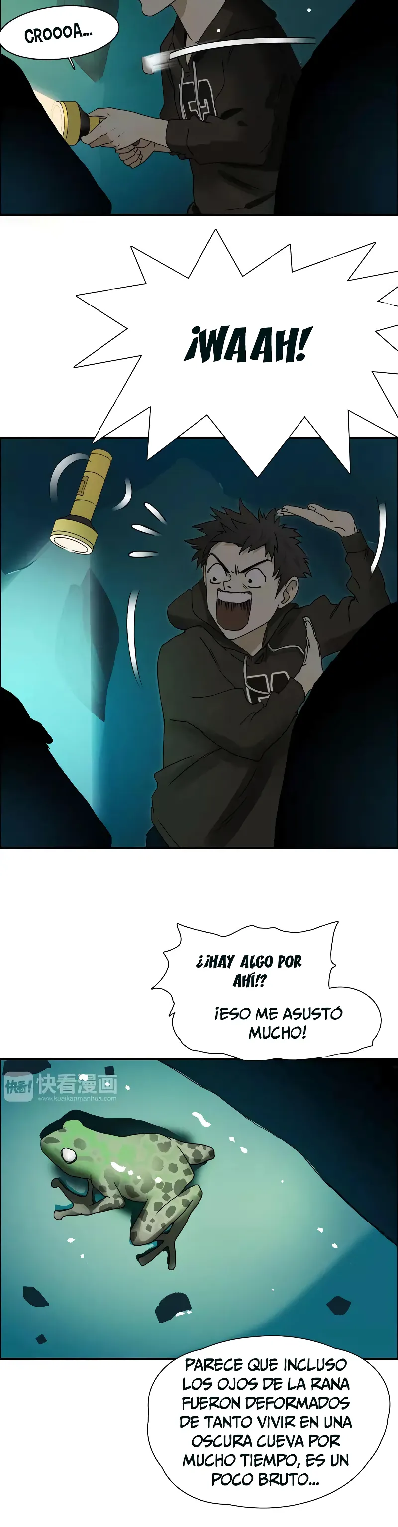Página 6