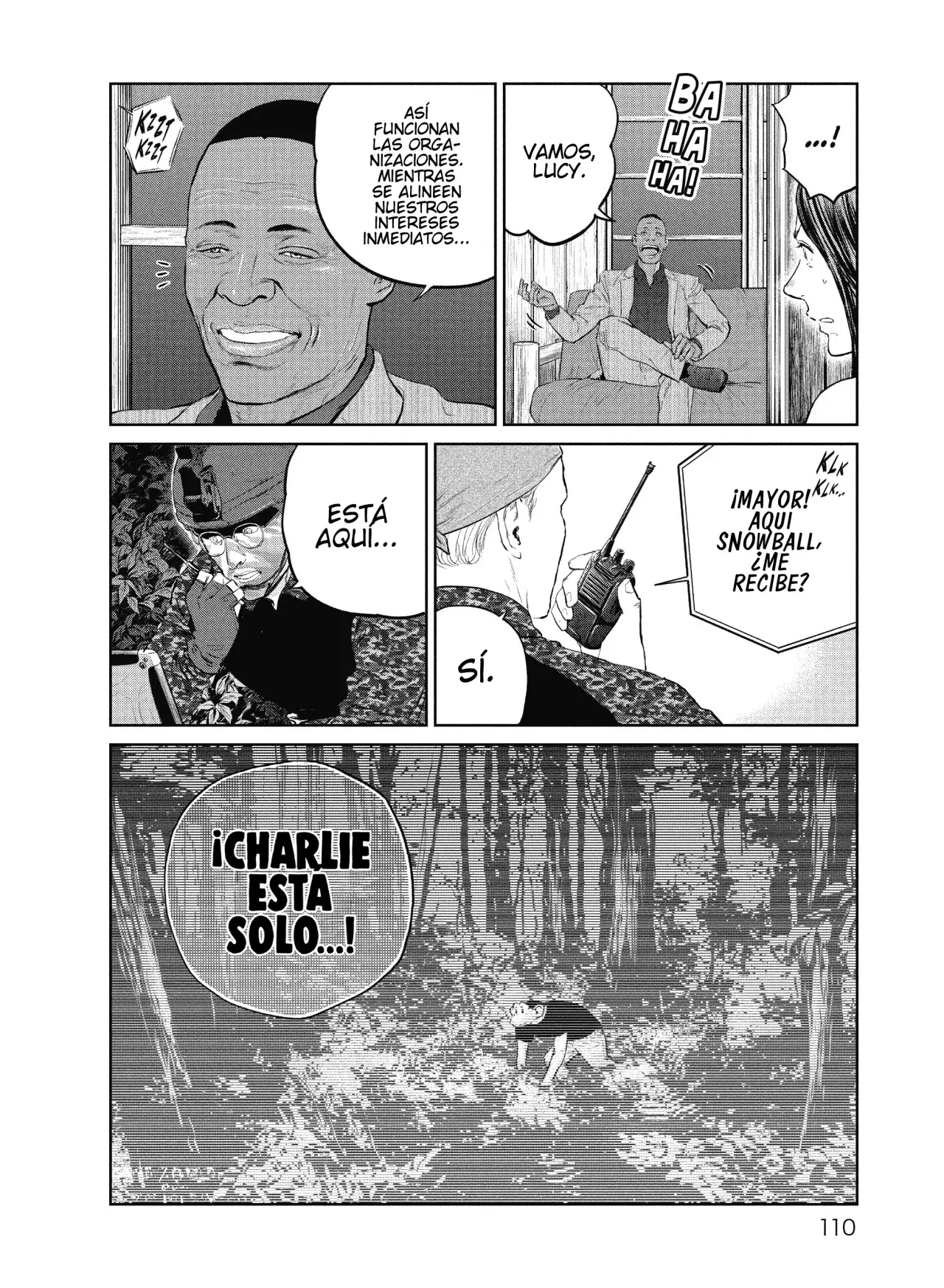Página 17
