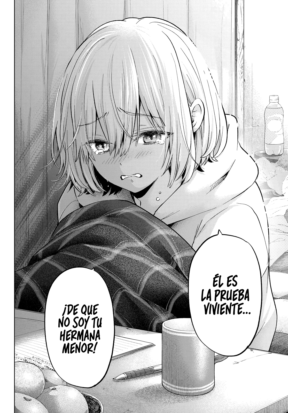 Página 17