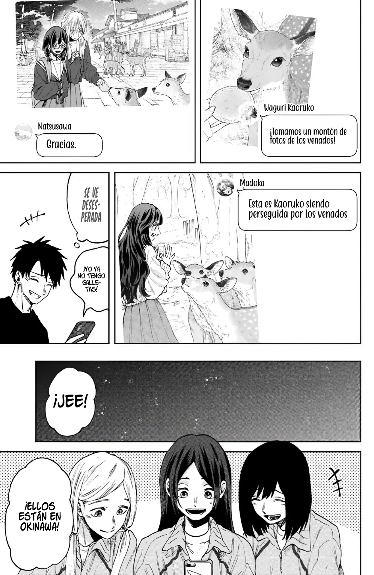 Página 12