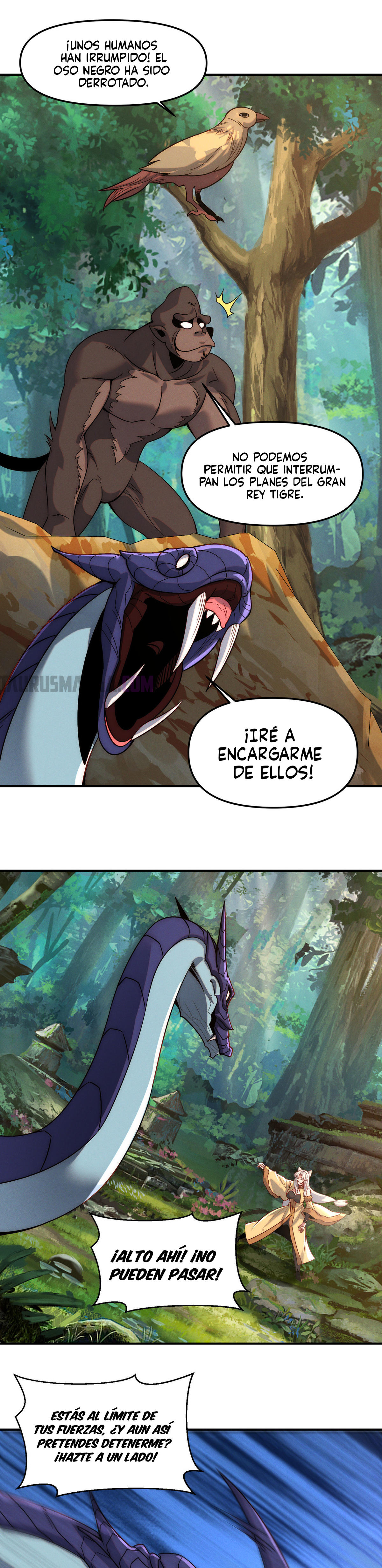 Página 4