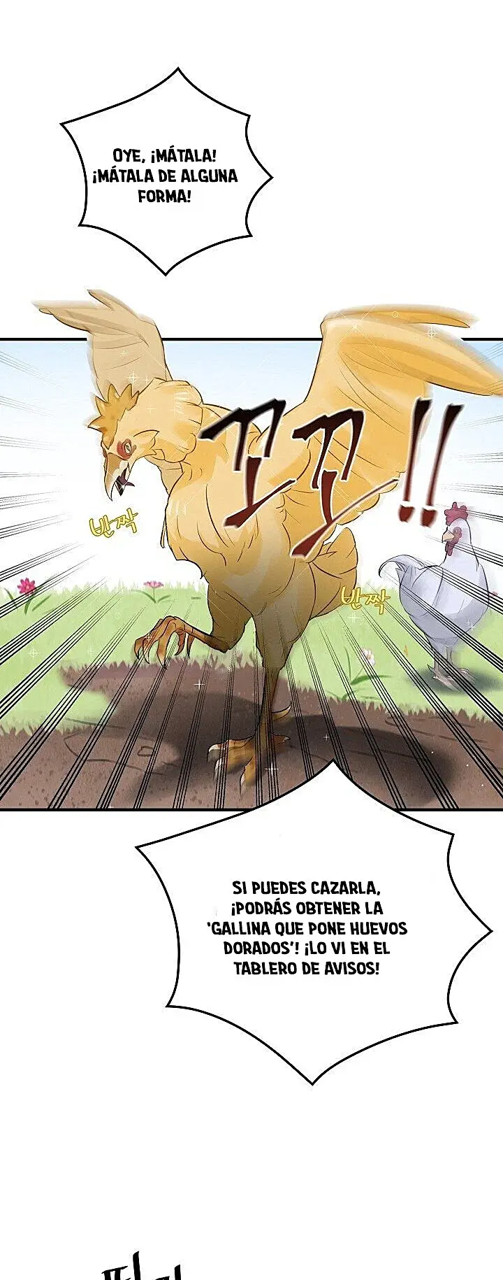 Página 40