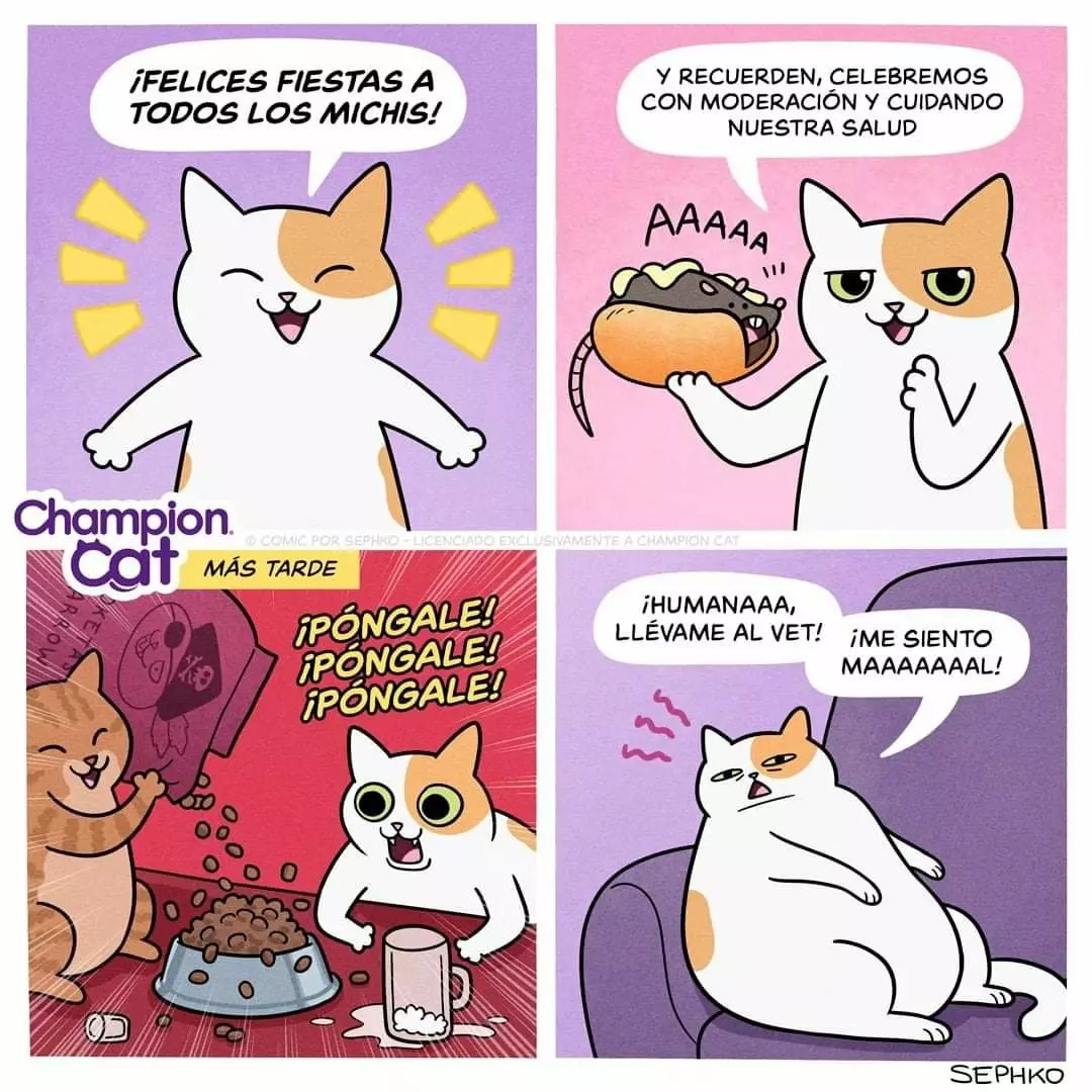 Página 27