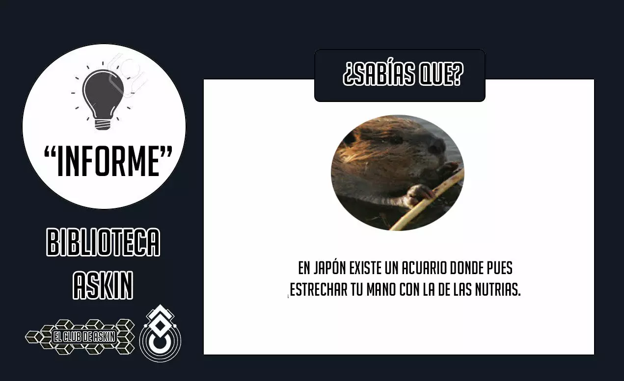 Página 22