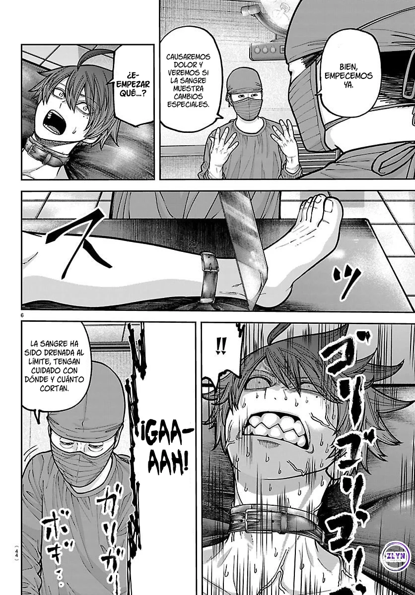 Página 8