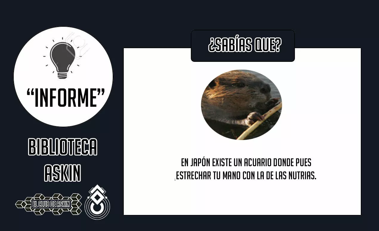 Página 22