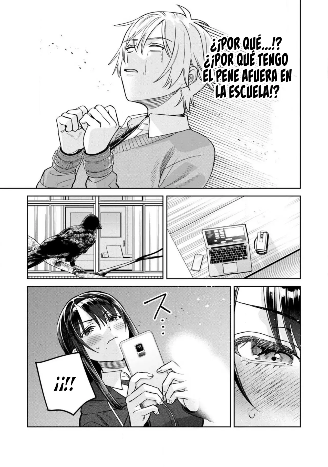 Página 6