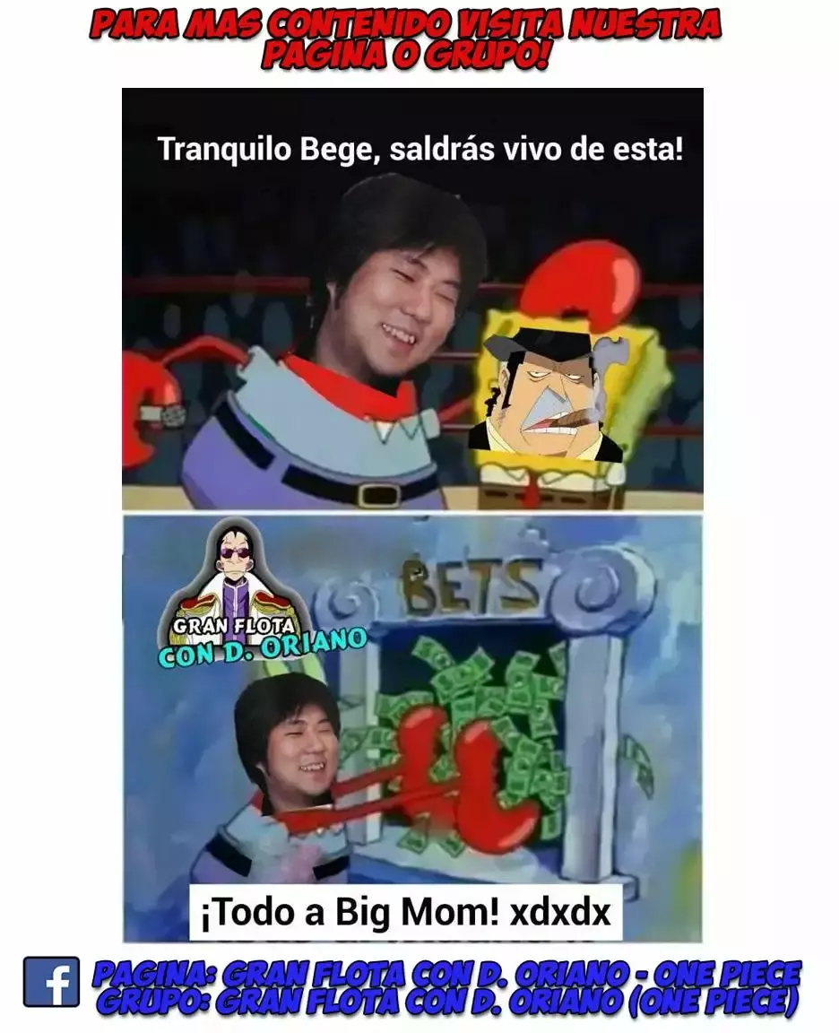 Página 17