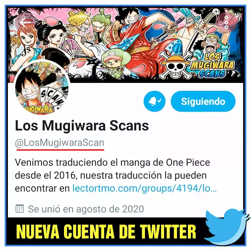 Página 16