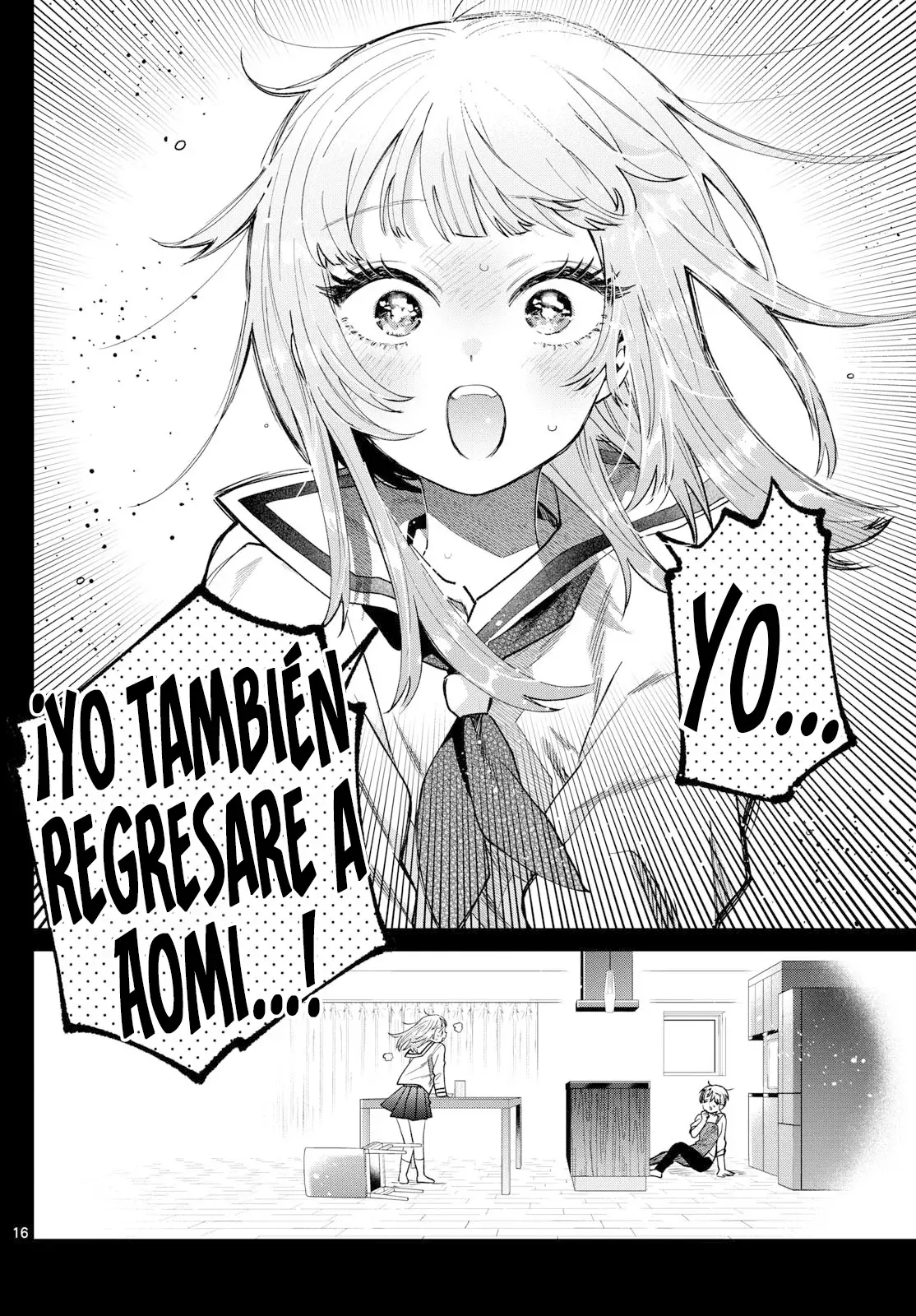 Página 17