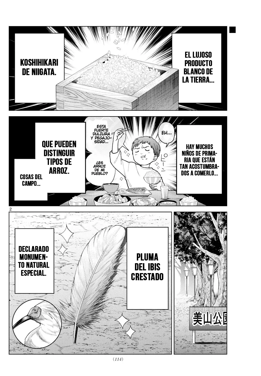 Página 3