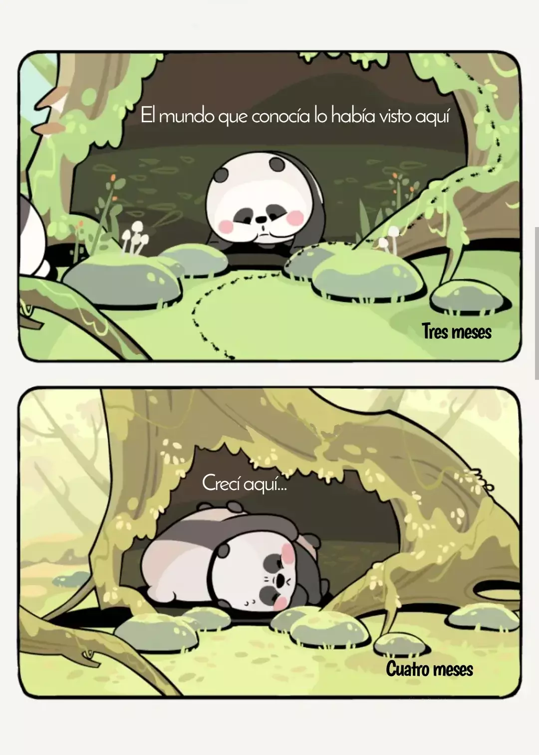 Página 5