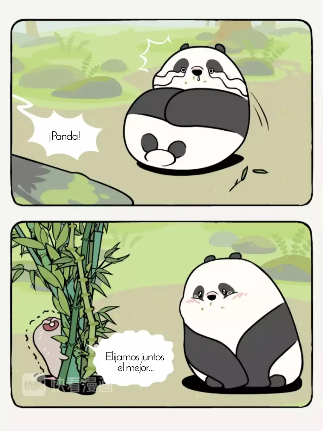 Página 11