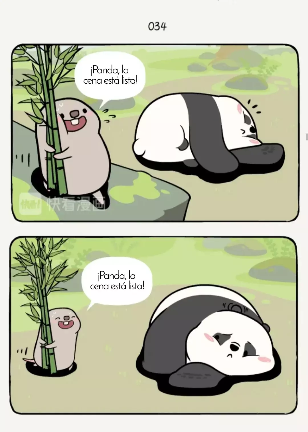 Página 4