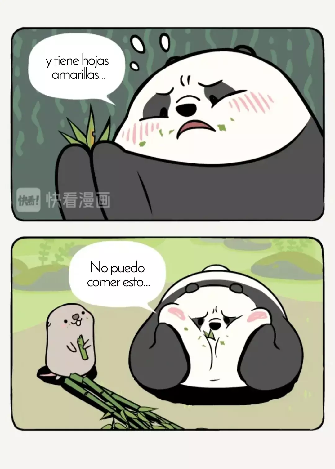 Página 8