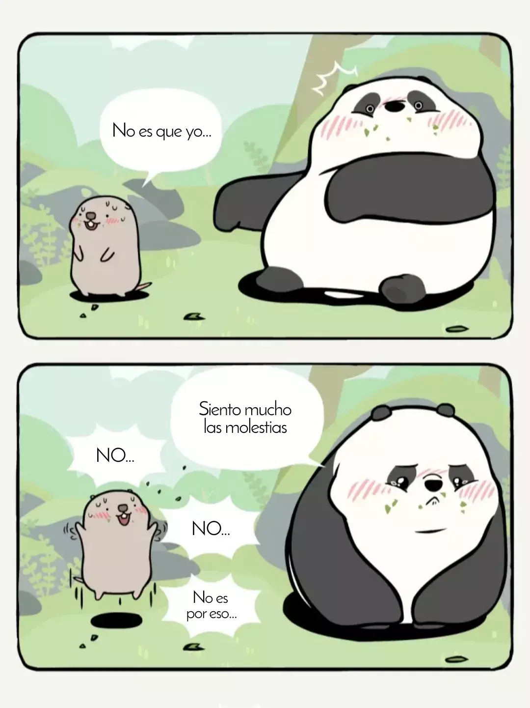 Página 5