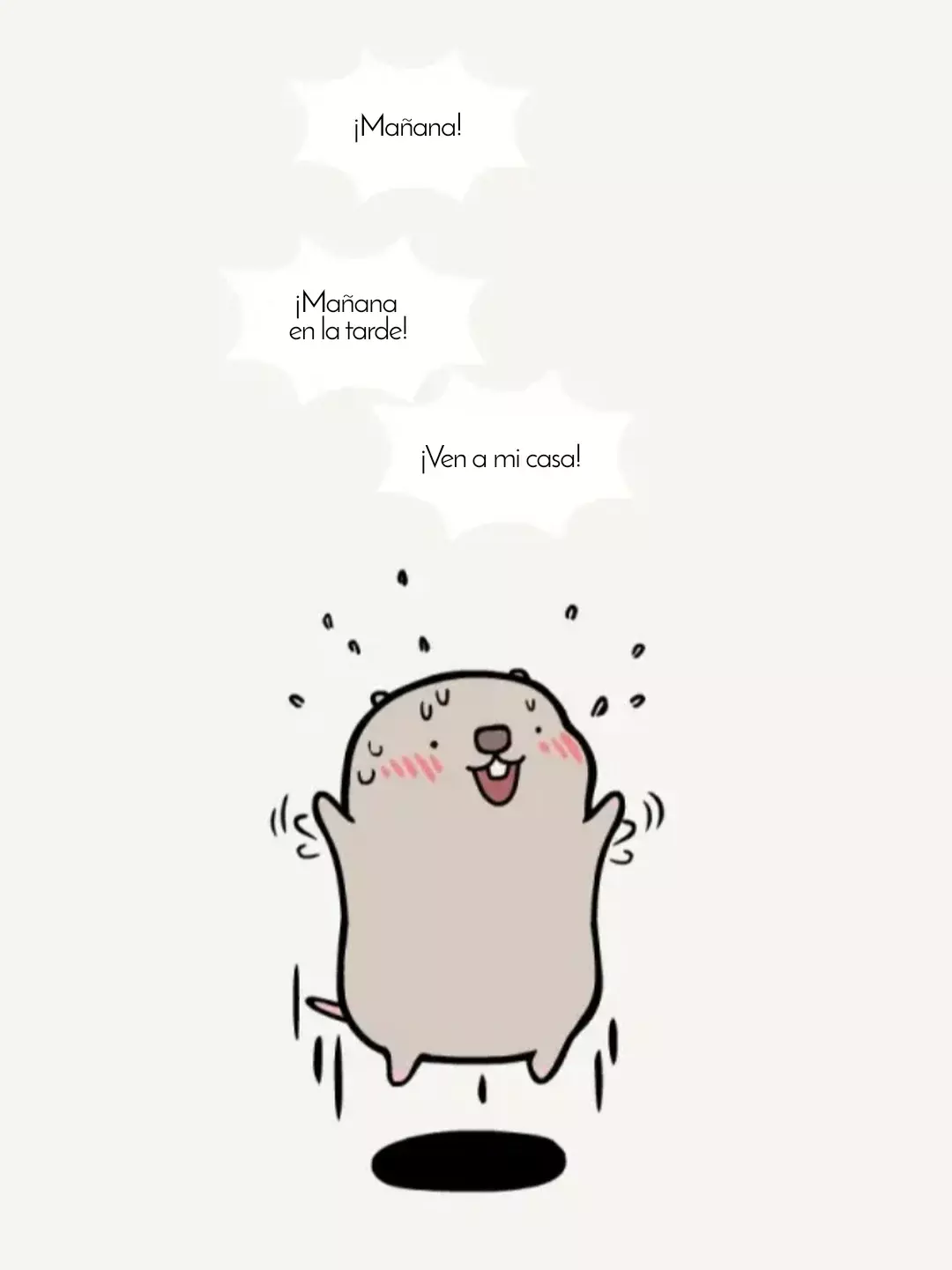 Página 6