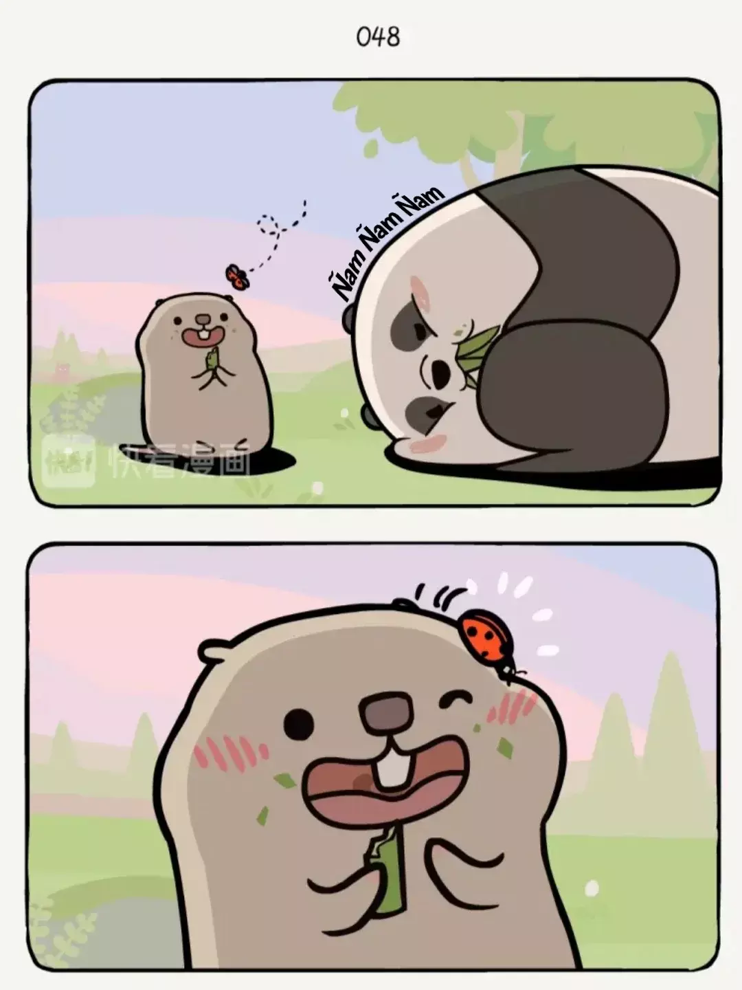 Página 10