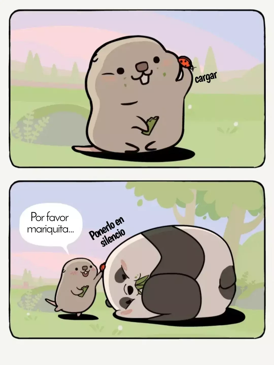 Página 11