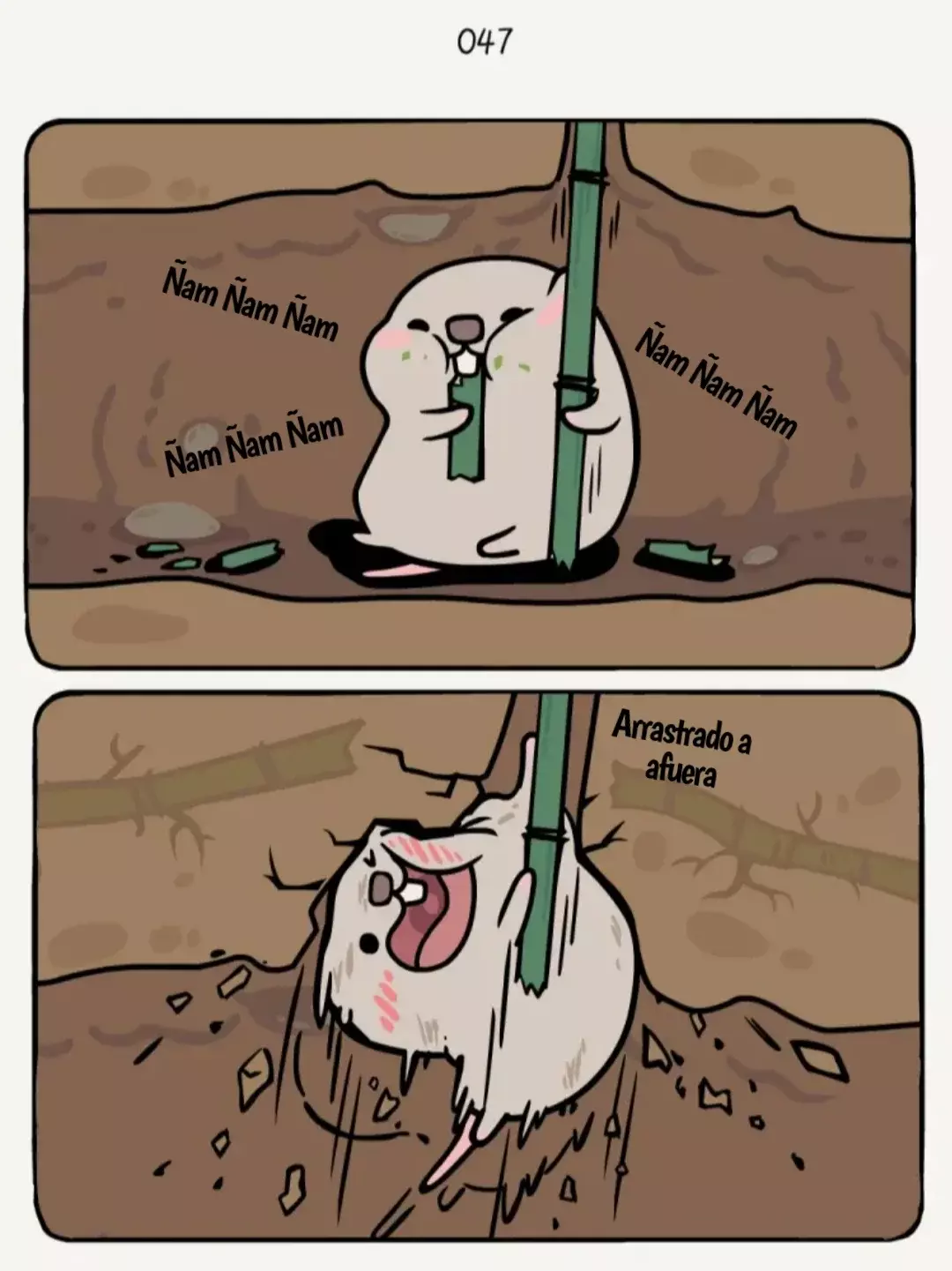 Página 7