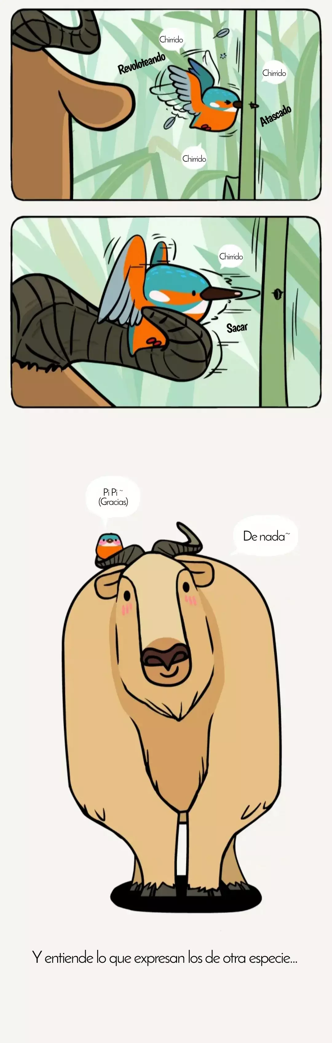 Página 6